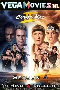 cobra kai netflix original 2021