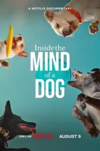 inside the mind of a dog 2024