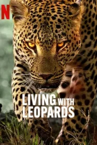 living with leopards 2024