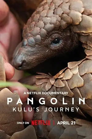 pangolin kulu s journey 2025