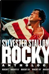 rocky film series dual audio hindi english 480