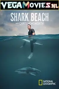 shark beach with chris hemsworth 2021