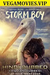 storm boy 2019