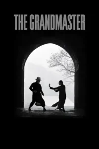 the grandmaster 2013