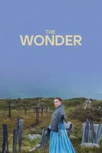 the wonder netflix original 2022